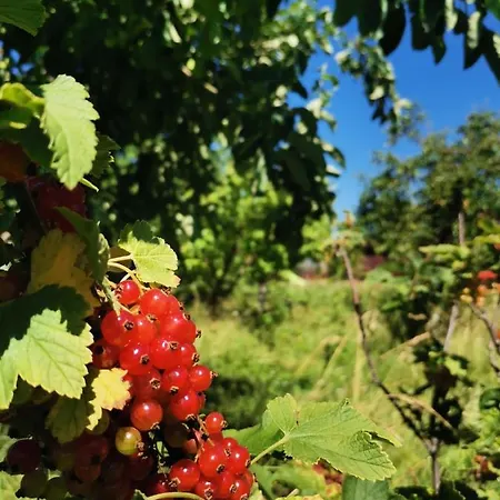 Stanica Przygody * Sztutowo