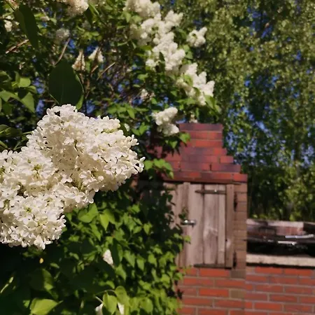 Alojamento de Turismo Rural Stanica Przygody