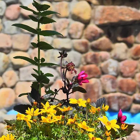 Stanica Przygody Sztutowo