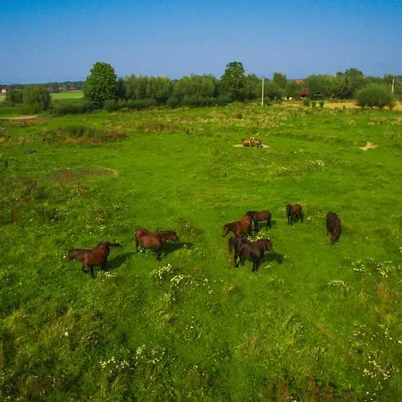 Feriegård Stanica Przygody