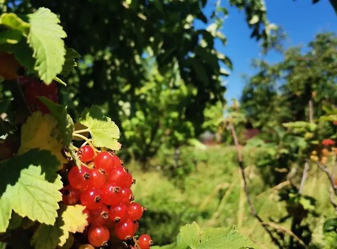 Stanica Przygody * شتوتوفو