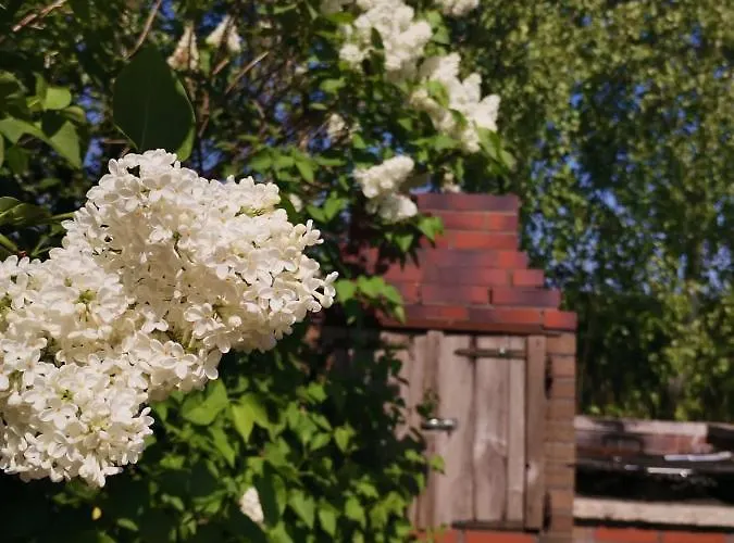 مزرعة للإقامة Stanica Przygody